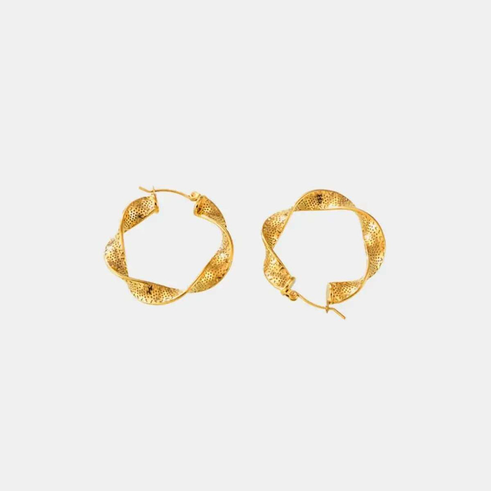 Titanium Steel Twisted Earrings - Trendsi - Flyclothing LLC