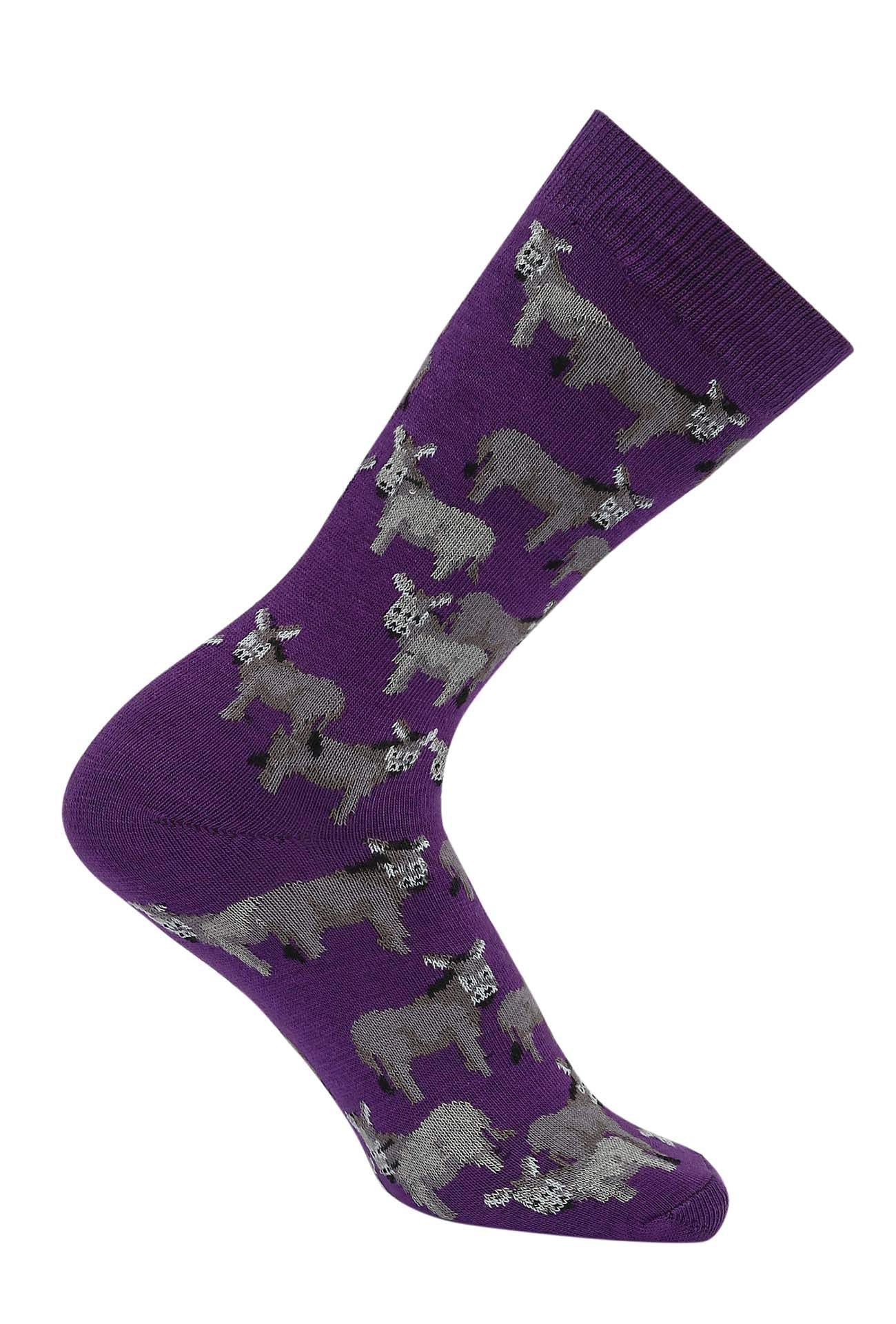 AWST Int'l Donkey Love Socks 6 pack - Breeches.com - Flyclothing LLC