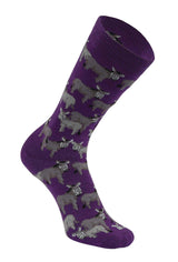 AWST Int'l Donkey Love Socks 6 pack - Breeches.com - Flyclothing LLC