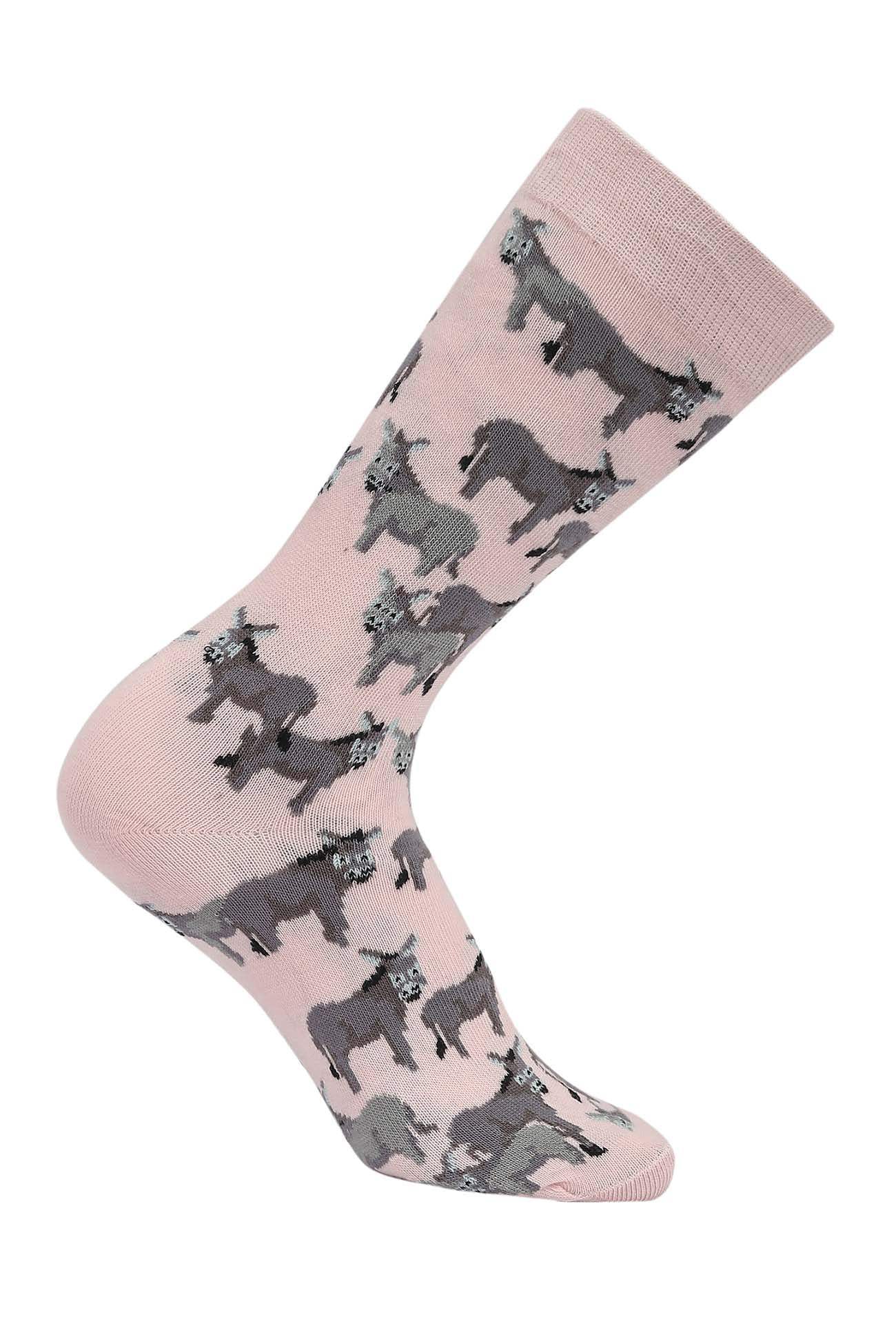 AWST Int'l Donkey Love Socks 6 pack - Breeches.com - Flyclothing LLC