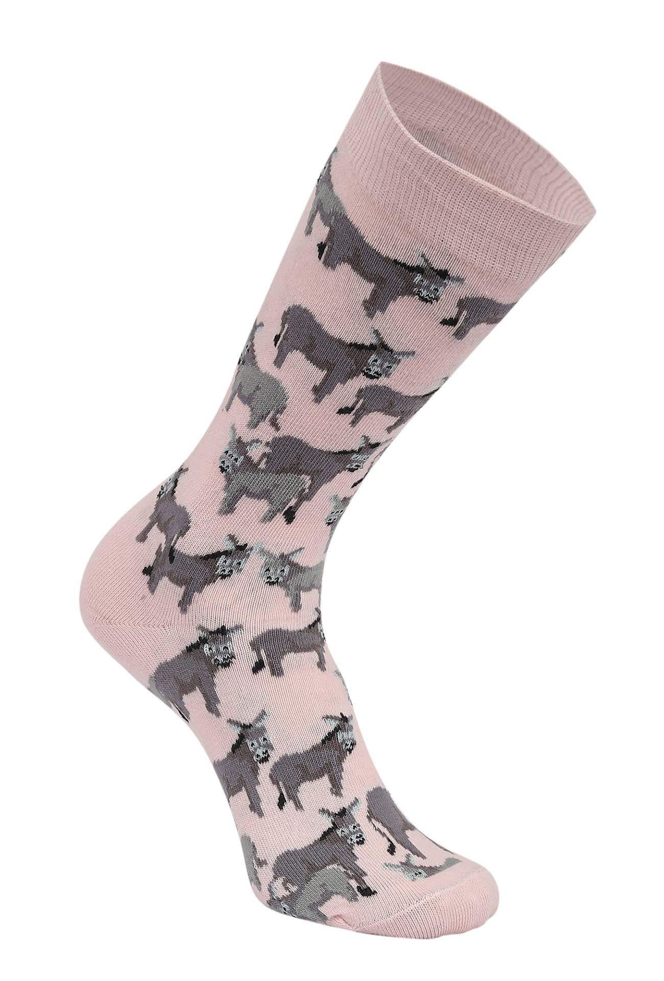 AWST Int'l Donkey Love Socks 6 pack - Breeches.com - Flyclothing LLC