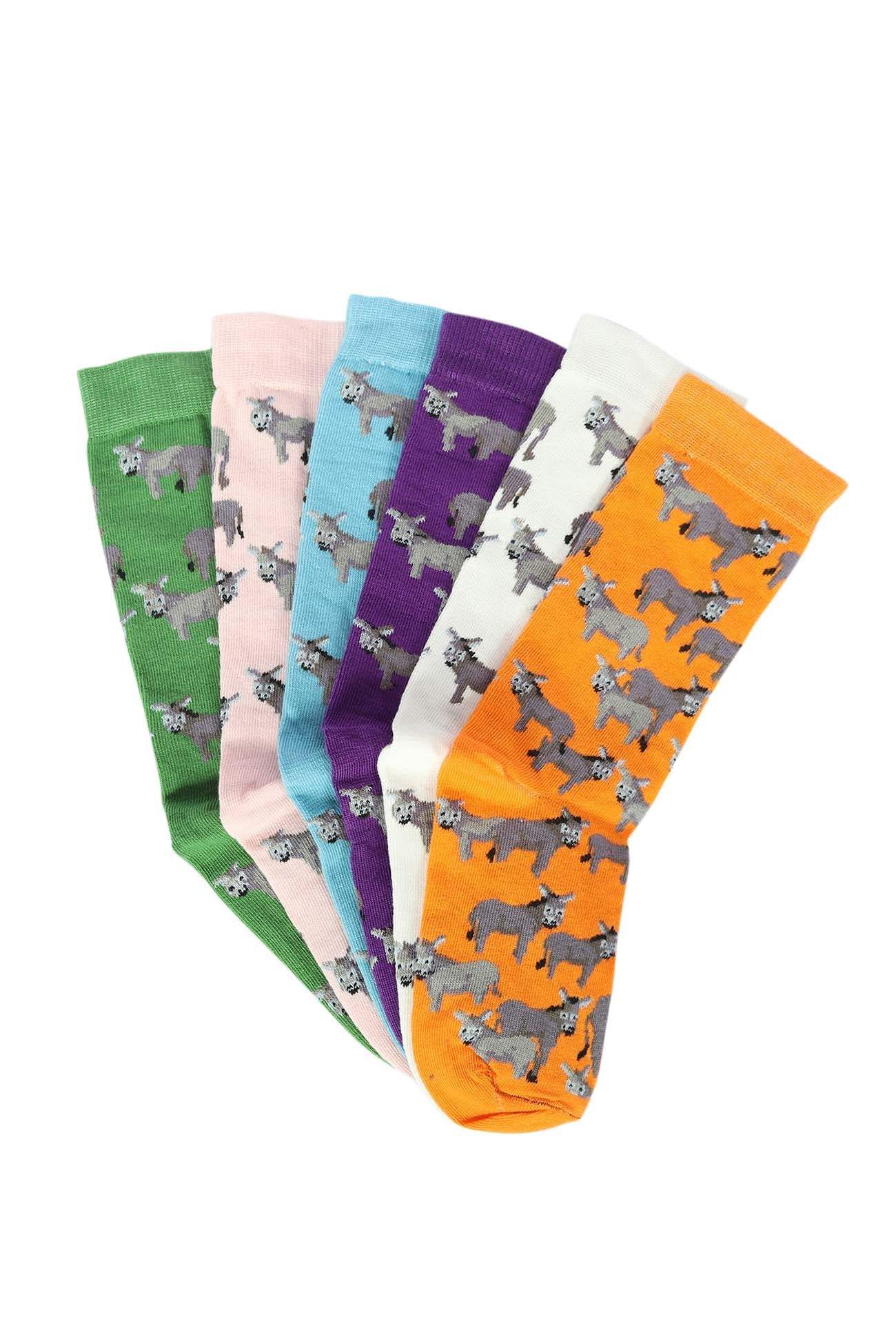 AWST Int'l Donkey Love Socks 6 pack - Breeches.com - Flyclothing LLC