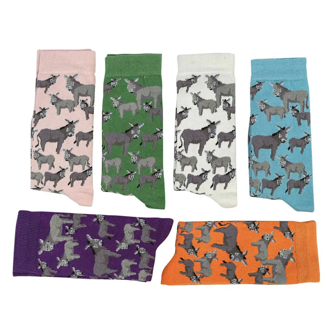 AWST Int'l Donkey Love Socks 6 pack - Breeches.com - Flyclothing LLC