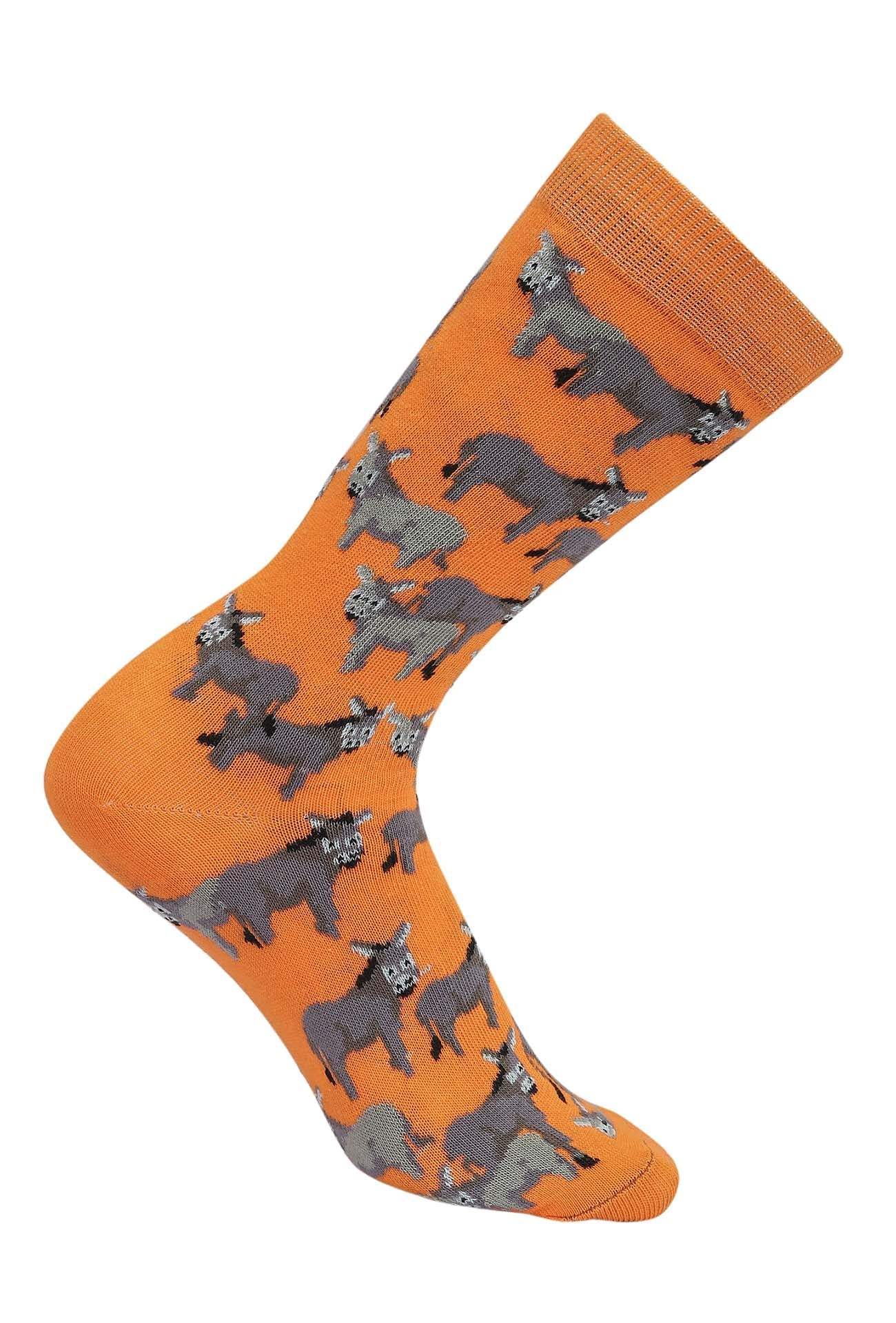 AWST Int'l Donkey Love Socks 6 pack - Breeches.com - Flyclothing LLC
