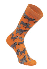 AWST Int'l Donkey Love Socks 6 pack - Breeches.com - Flyclothing LLC
