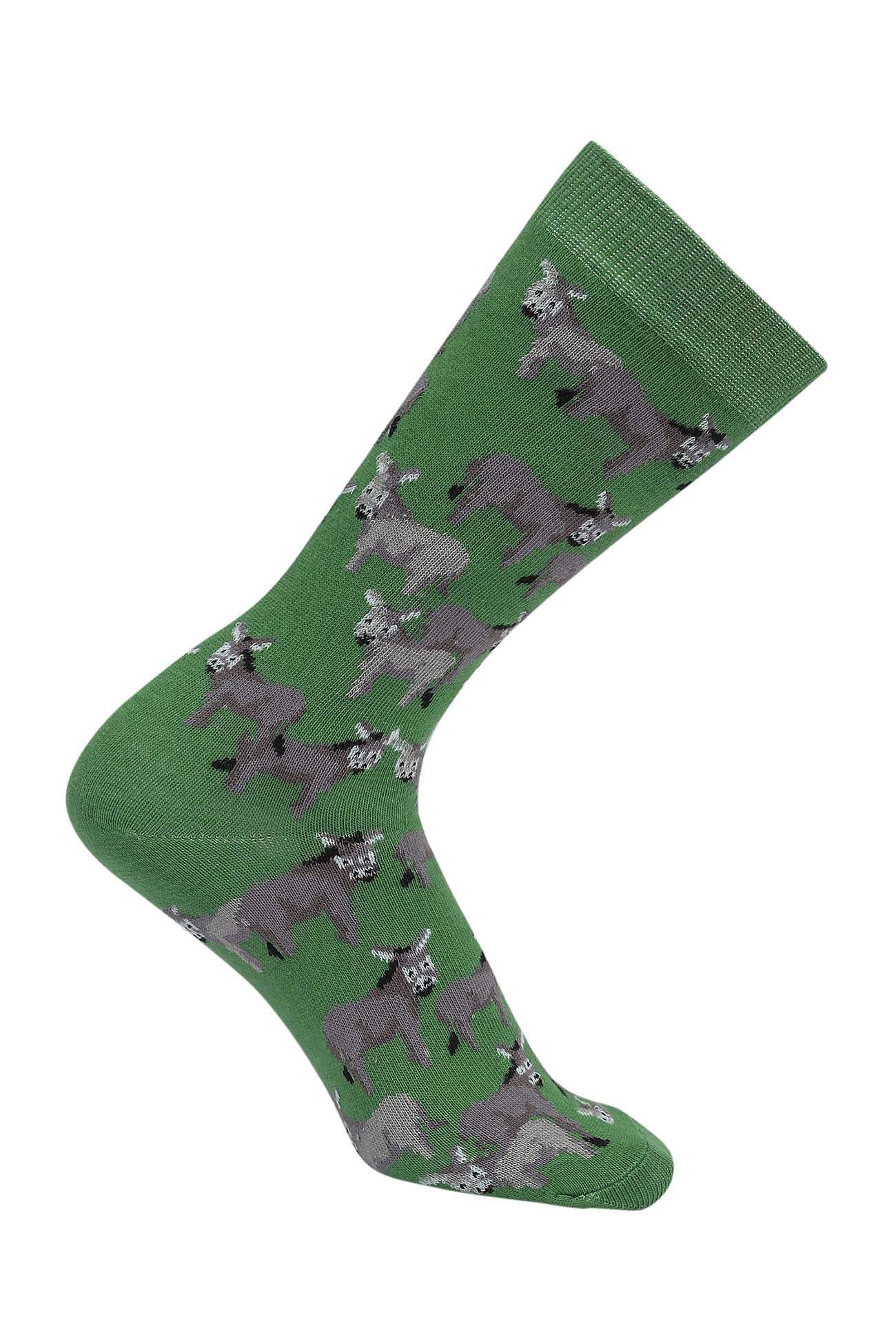 AWST Int'l Donkey Love Socks 6 pack - Breeches.com - Flyclothing LLC
