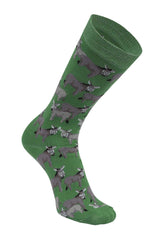 AWST Int'l Donkey Love Socks 6 pack - Breeches.com - Flyclothing LLC