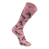 AWST Int'l Playful Donkeys Socks 6 pack - Breeches.com - Flyclothing LLC