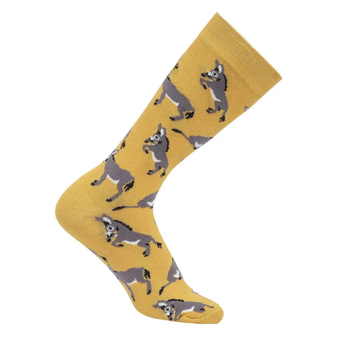 AWST Int'l Playful Donkeys Socks 6 pack - Breeches.com - Flyclothing LLC