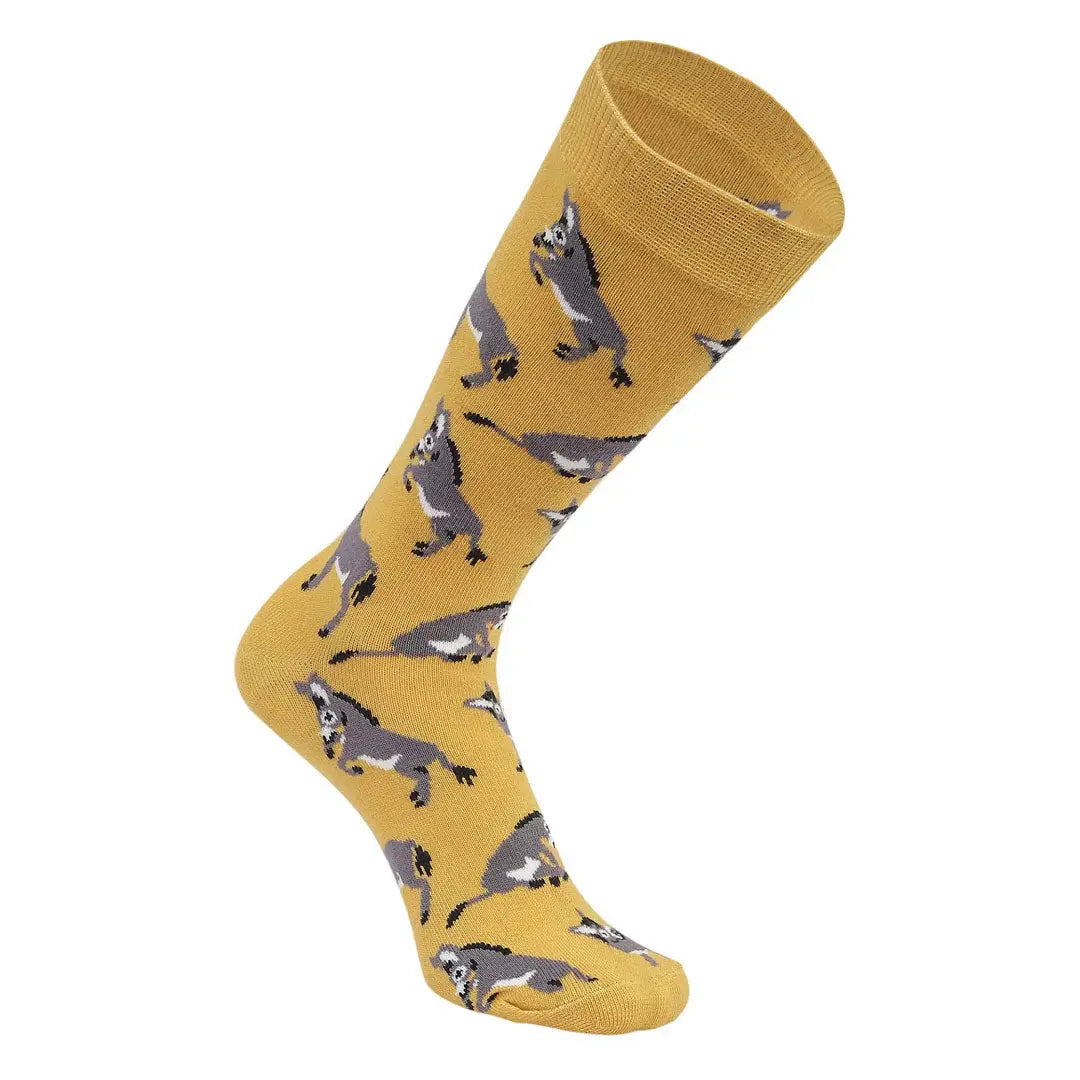 AWST Int'l Playful Donkeys Socks 6 pack - Breeches.com - Flyclothing LLC