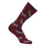 AWST Int'l Playful Donkeys Socks 6 pack - Breeches.com - Flyclothing LLC