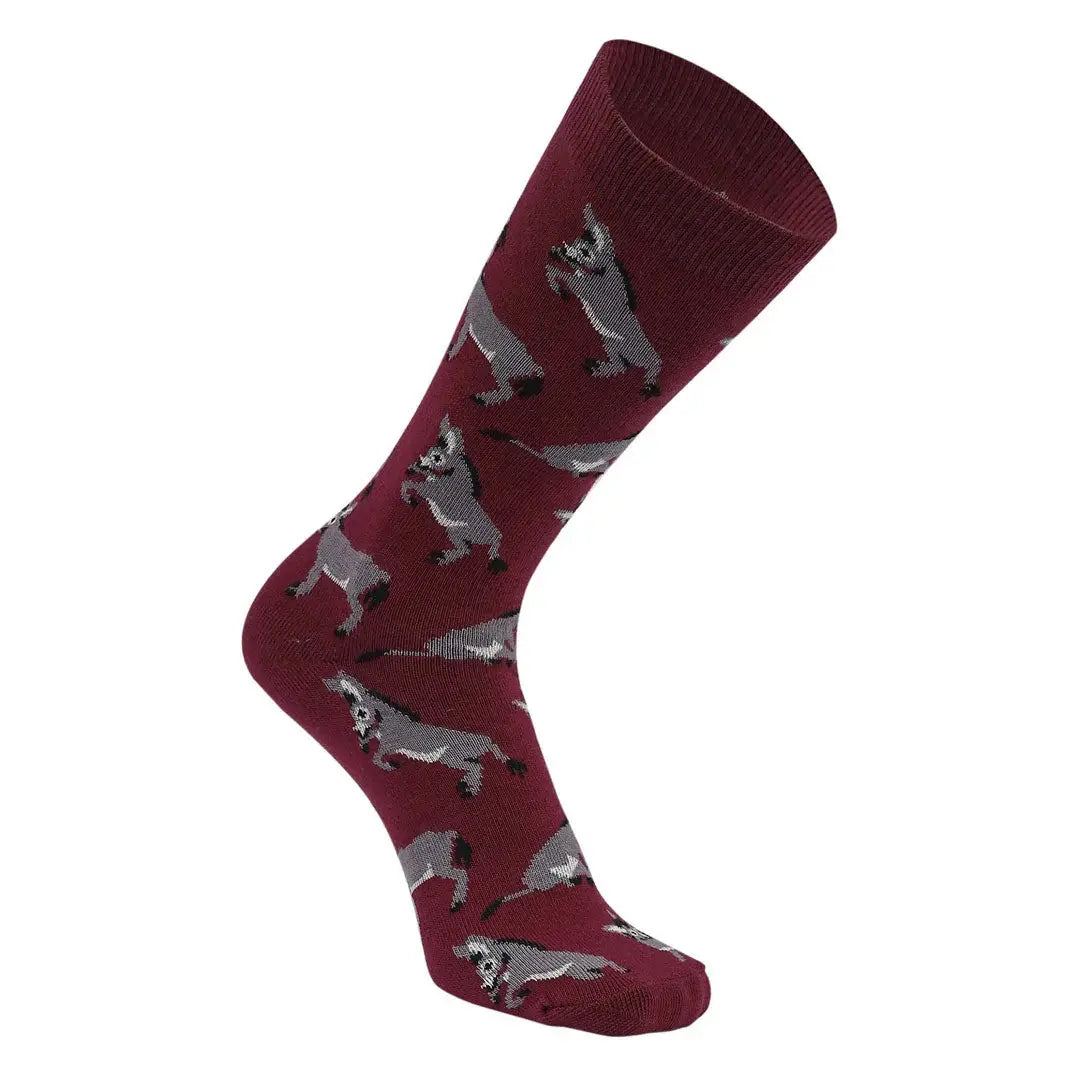 AWST Int'l Playful Donkeys Socks 6 pack - Breeches.com - Flyclothing LLC