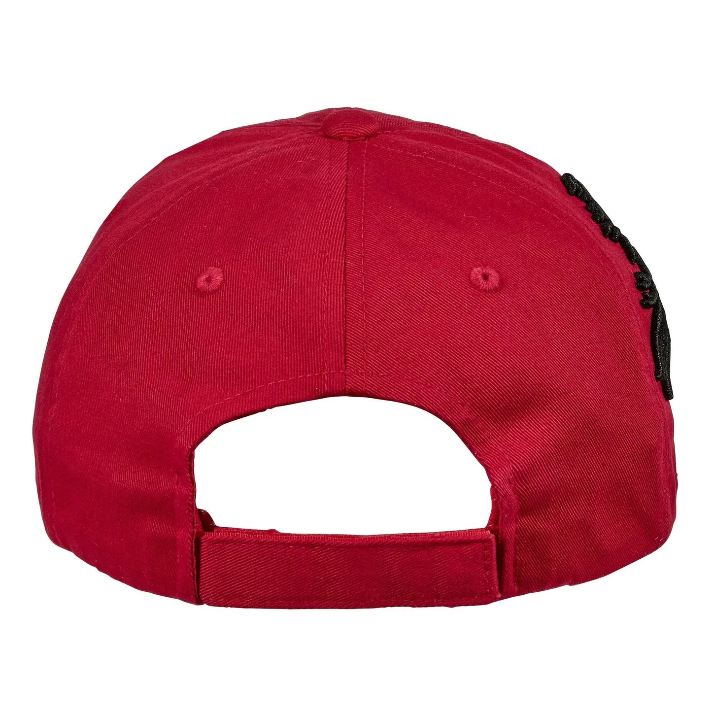 AWST Int'l Lila 3D Horse Head Cap - Breeches.com - Flyclothing LLC