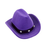 AWST Int'l Horse Head Earrings w/Purple Cowboy Hat Gift Box - Breeches.com - Flyclothing LLC