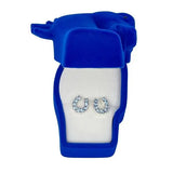 AWST Int'l Rhinestone Horseshoe Earrings w/Horse Head Gift Box - Breeches.com - Flyclothing LLC