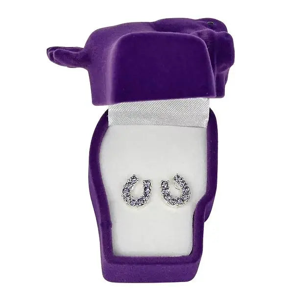 AWST Int'l Rhinestone Horseshoe Earrings w/Horse Head Gift Box - Breeches.com - Flyclothing LLC