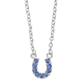 AWST Int'l Aqua Rhinestone Horseshoe Necklace w/Horse Head Gift Box - Breeches.com - Flyclothing LLC
