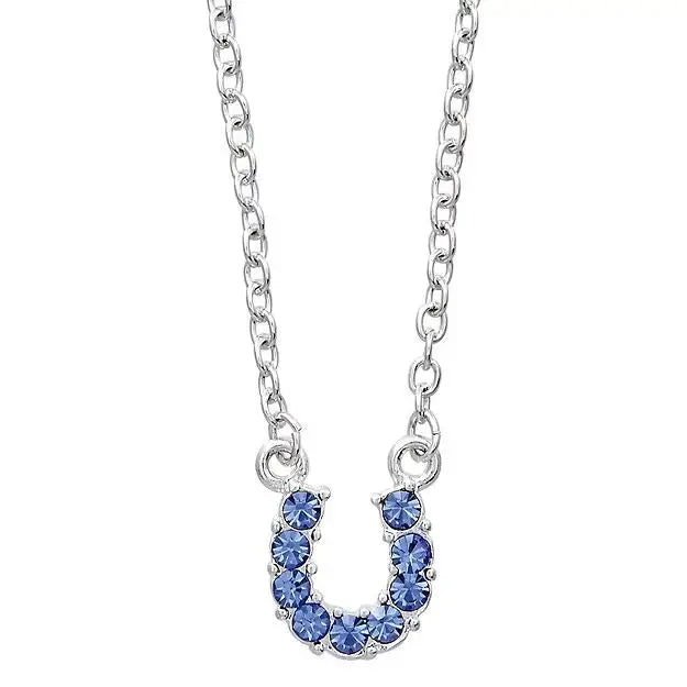 AWST Int'l Aqua Rhinestone Horseshoe Necklace w/Horse Head Gift Box - Breeches.com - Flyclothing LLC