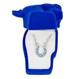 AWST Int'l Aqua Rhinestone Horseshoe Necklace w/Horse Head Gift Box - Breeches.com - Flyclothing LLC