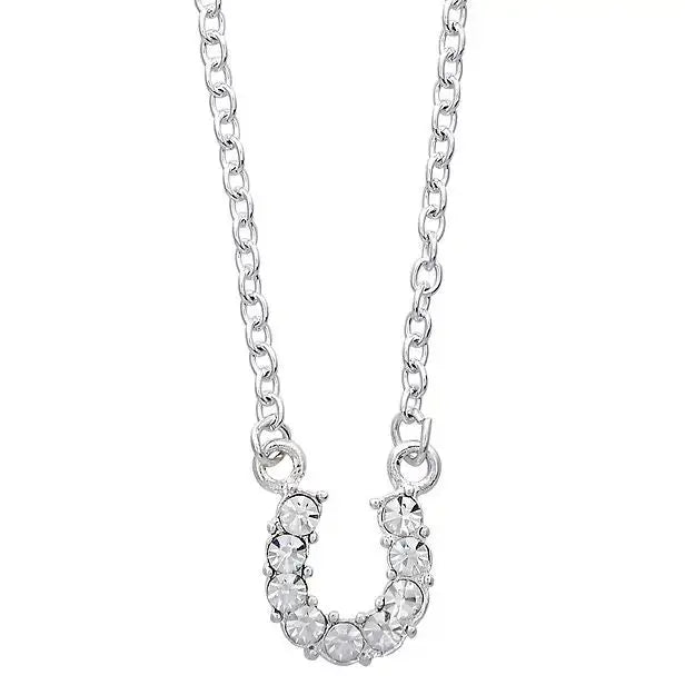 AWST Int'l Aqua Rhinestone Horseshoe Necklace w/Horse Head Gift Box - Breeches.com - Flyclothing LLC