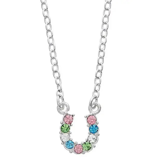 AWST Int'l Aqua Rhinestone Horseshoe Necklace w/Horse Head Gift Box - Breeches.com - Flyclothing LLC