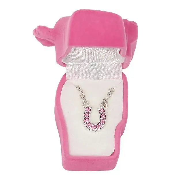 AWST Int'l Aqua Rhinestone Horseshoe Necklace w/Horse Head Gift Box - Breeches.com - Flyclothing LLC