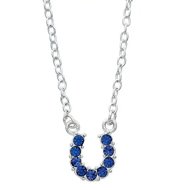 AWST Int'l Aqua Rhinestone Horseshoe Necklace w/Horse Head Gift Box - Breeches.com - Flyclothing LLC