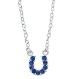 AWST Int'l Aqua Rhinestone Horseshoe Necklace w/Horse Head Gift Box - Breeches.com - Flyclothing LLC