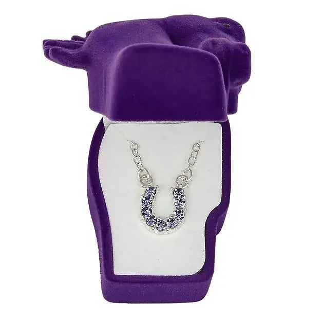 AWST Int'l Aqua Rhinestone Horseshoe Necklace w/Horse Head Gift Box - Breeches.com - Flyclothing LLC