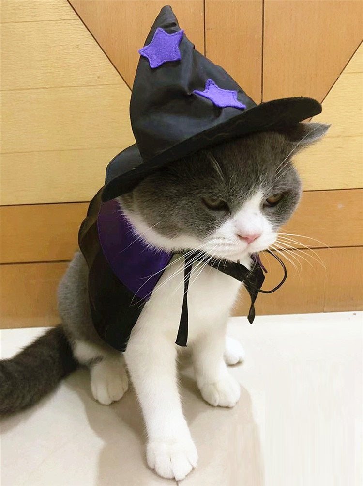 Pet Halloween Wizard Dressup Decoration Set - My Store - Flyclothing LLC