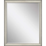 44" Silver Framed Accent Mirror - Homeroots - Flyclothing LLC