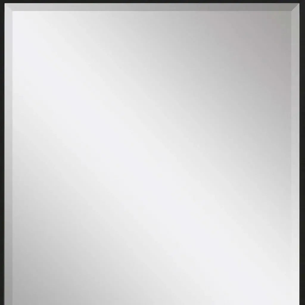 31" Black Framed Accent Mirror - Homeroots - Flyclothing LLC