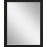 43" Black Framed Accent Mirror - Homeroots - Flyclothing LLC