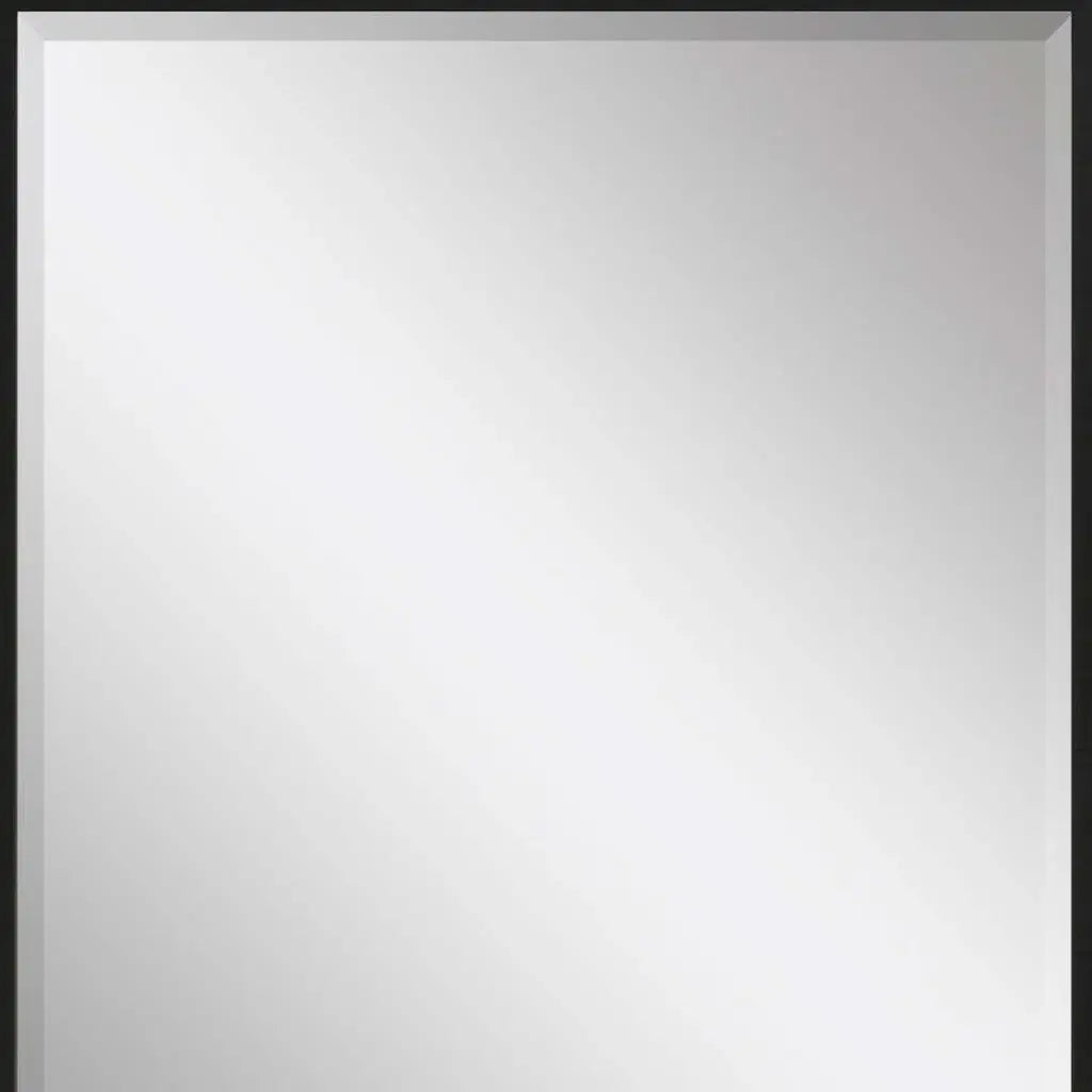 43" Black Framed Accent Mirror - Homeroots - Flyclothing LLC