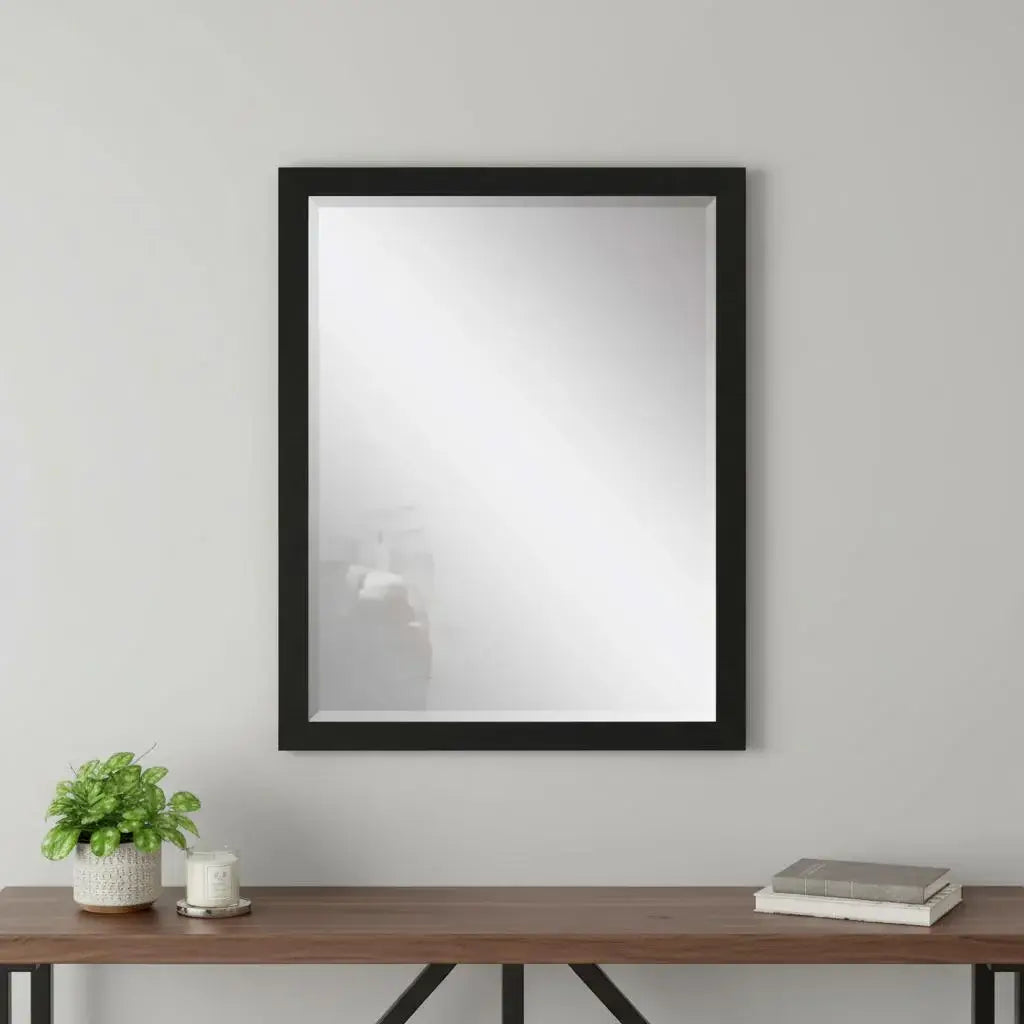 43" Black Framed Accent Mirror - Homeroots - Flyclothing LLC