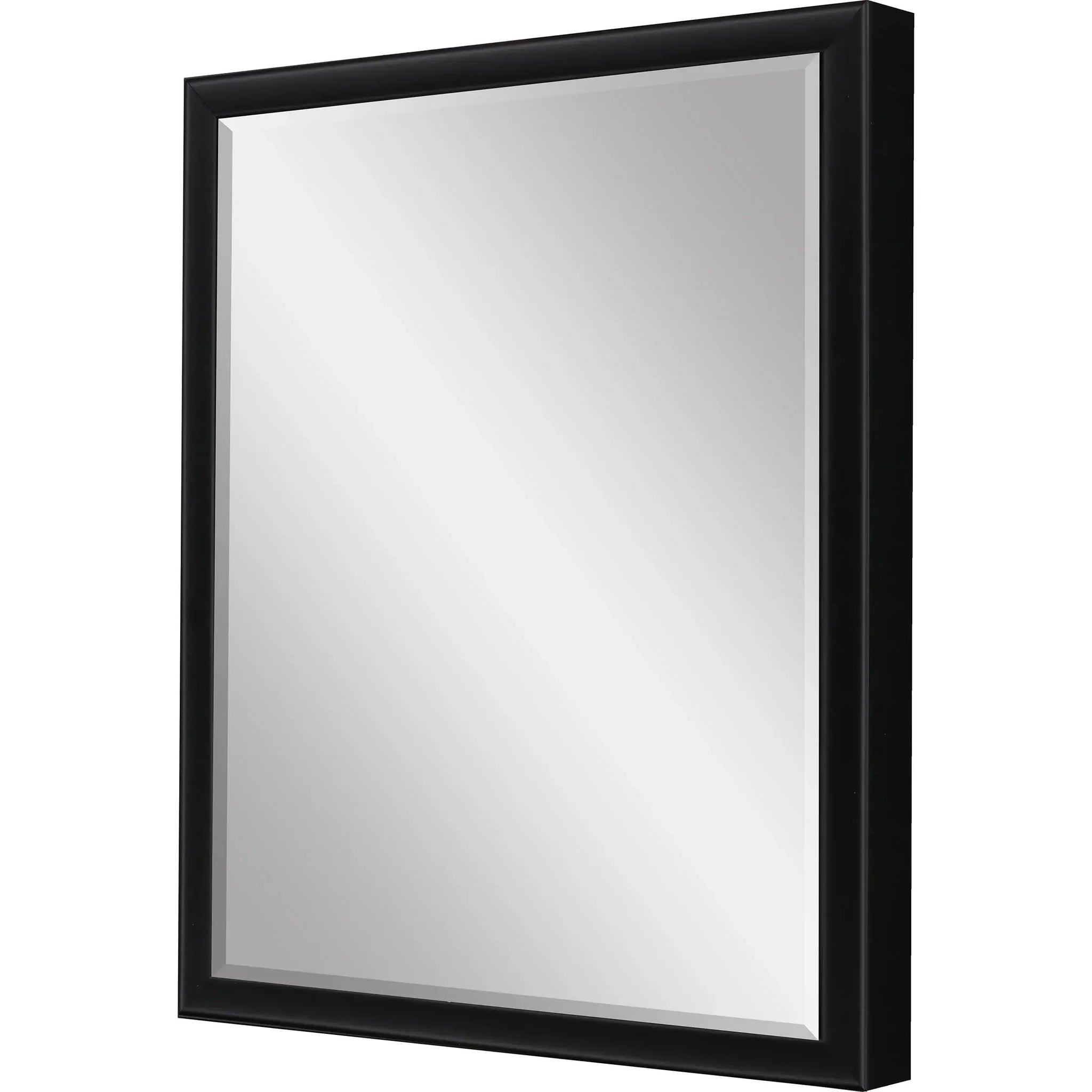 30" Black Solid Wood Framed Accent Mirror - Homeroots - Flyclothing LLC