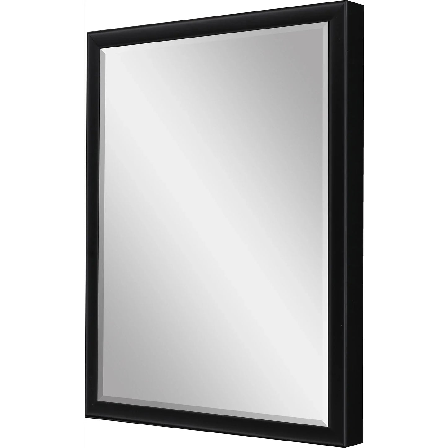 50" Black Solid Wood Framed Accent Mirror - Homeroots - Flyclothing LLC