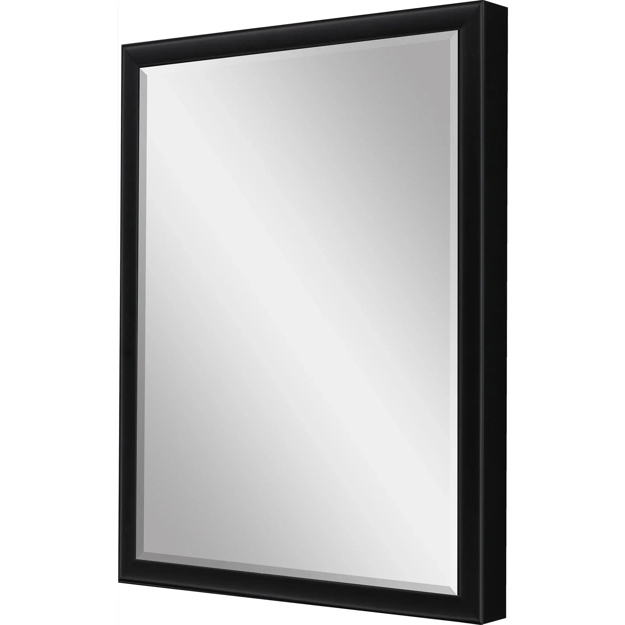 50" Black Solid Wood Framed Accent Mirror - Homeroots - Flyclothing LLC
