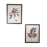Set of Two Black And White Flower Framed Art - Homeroots - Flyclothing LLC