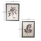 Set of Two Black And White Flower Framed Art - Homeroots - Flyclothing LLC