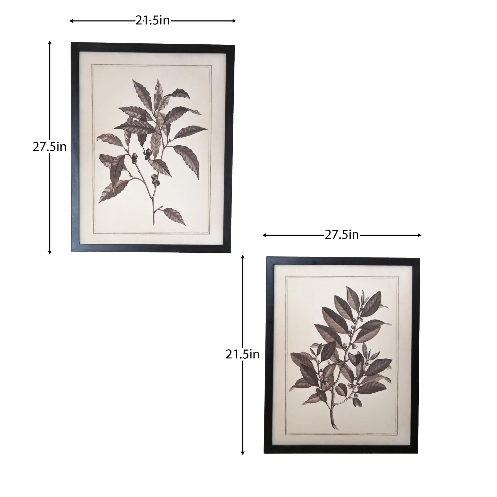 Set of Two Black And White Flower Framed Art - Homeroots - Flyclothing LLC