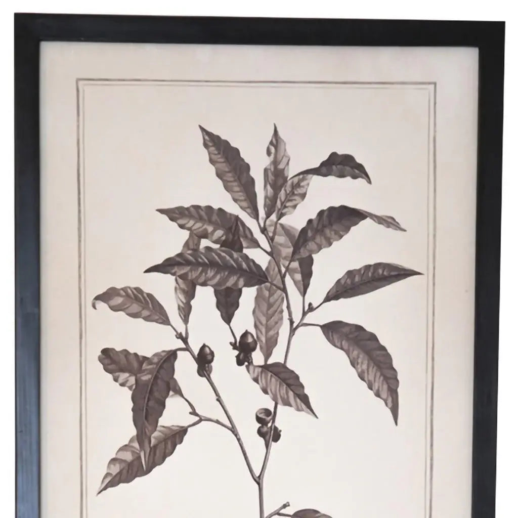 Set of Two Black And White Flower Framed Art - Homeroots - Flyclothing LLC