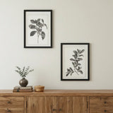 Set of Two Black And White Botanical Leaves Framed Art - Homeroots - Flyclothing LLC