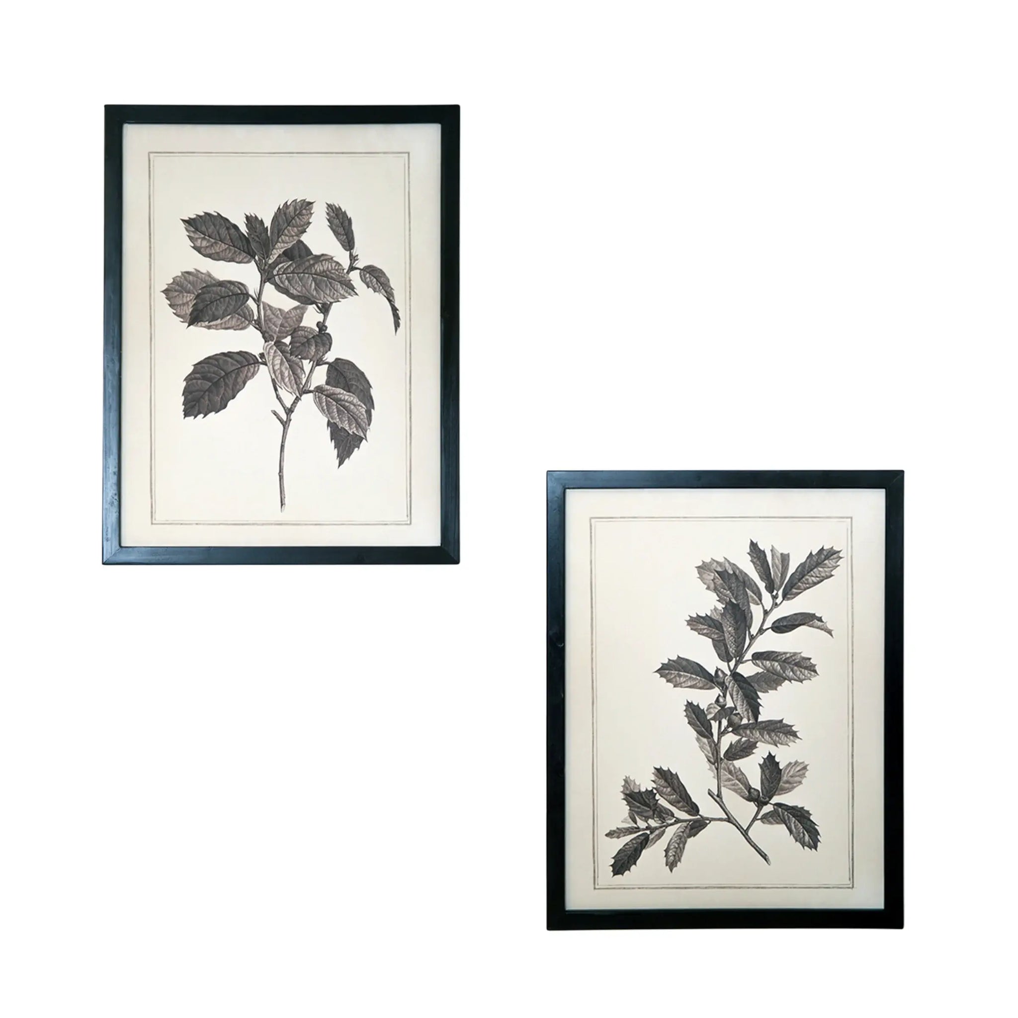 Set of Two Black And White Botanical Leaves Framed Art - Homeroots - Flyclothing LLC