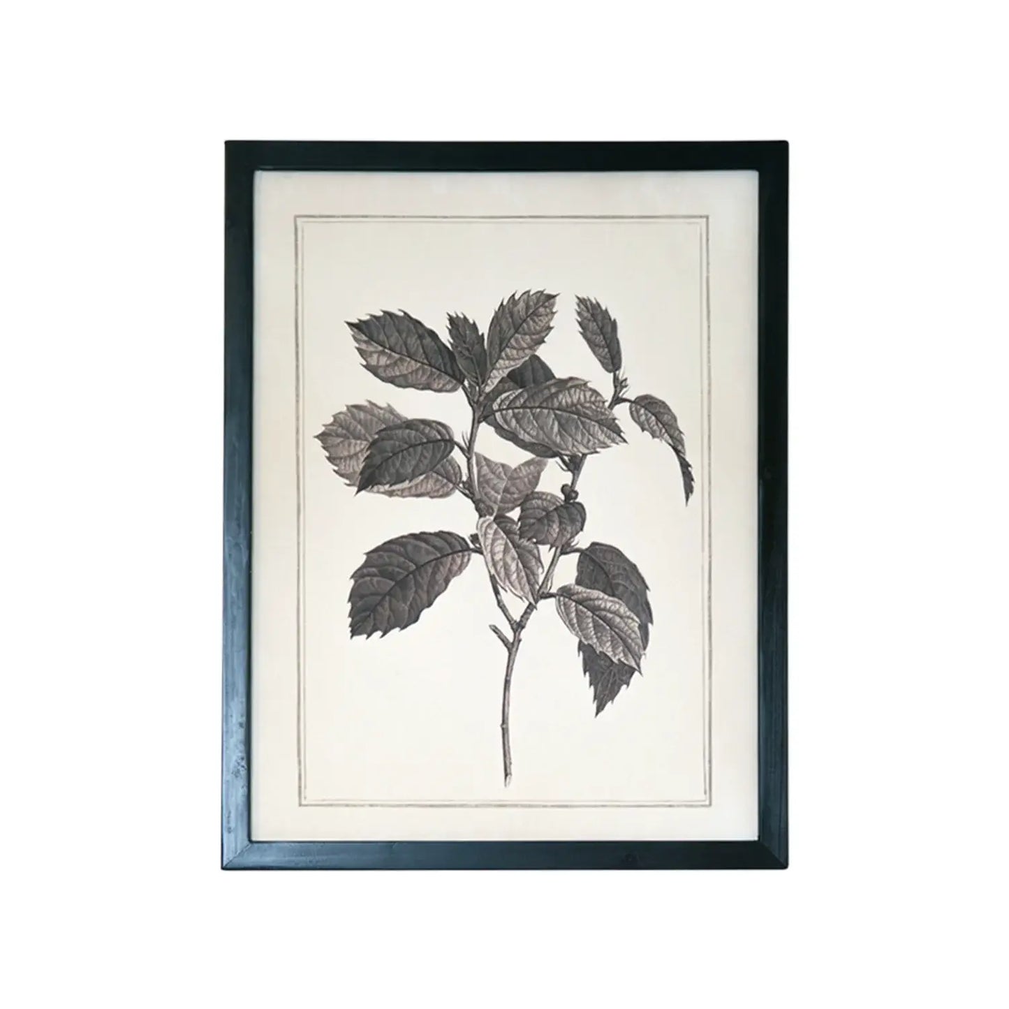 Set of Two Black And White Botanical Leaves Framed Art - Homeroots - Flyclothing LLC