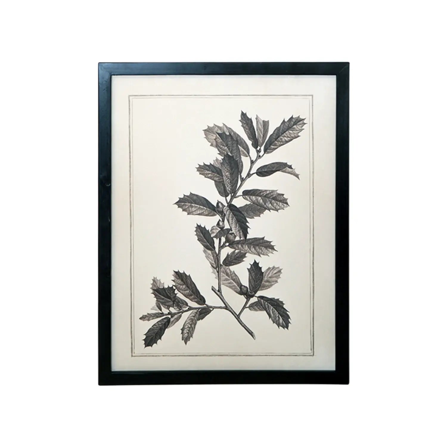 Set of Two Black And White Botanical Leaves Framed Art - Homeroots - Flyclothing LLC