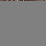 9' X 12' Burnt Sienna And Ivory Tribal Washable Area Rug With UV Protection - HomeRoots - Flyclothing LLC