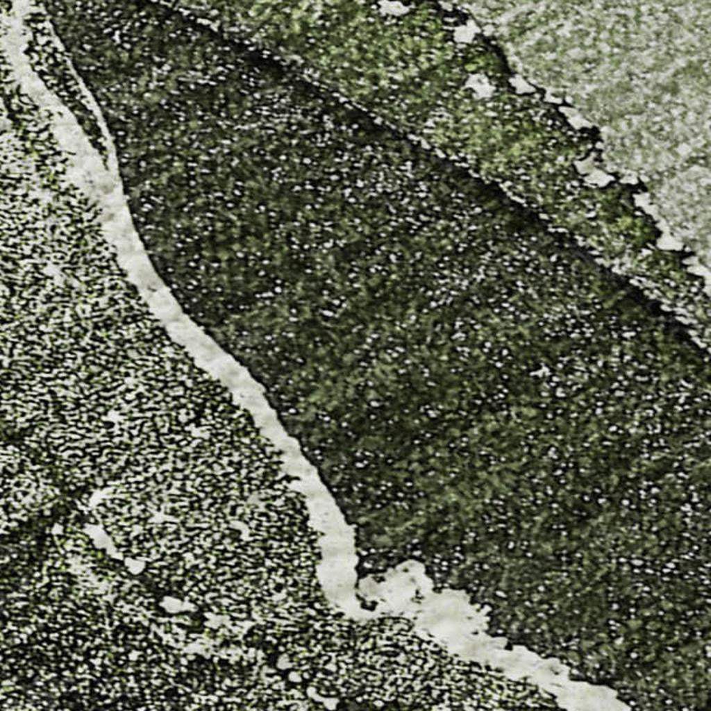 8' X 10' Green And Charcoal Abstract Washable Area Rug With UV Protection - HomeRoots - Flyclothing LLC