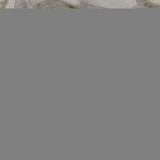 10' X 14' Brown Gray And Ivory Abstract Washable Area Rug With UV Protection - HomeRoots - Flyclothing LLC