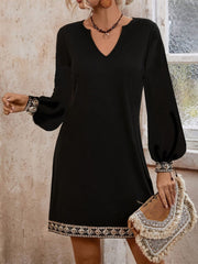 Embroidered Notched Long Sleeve Mini Dress - Trendsi